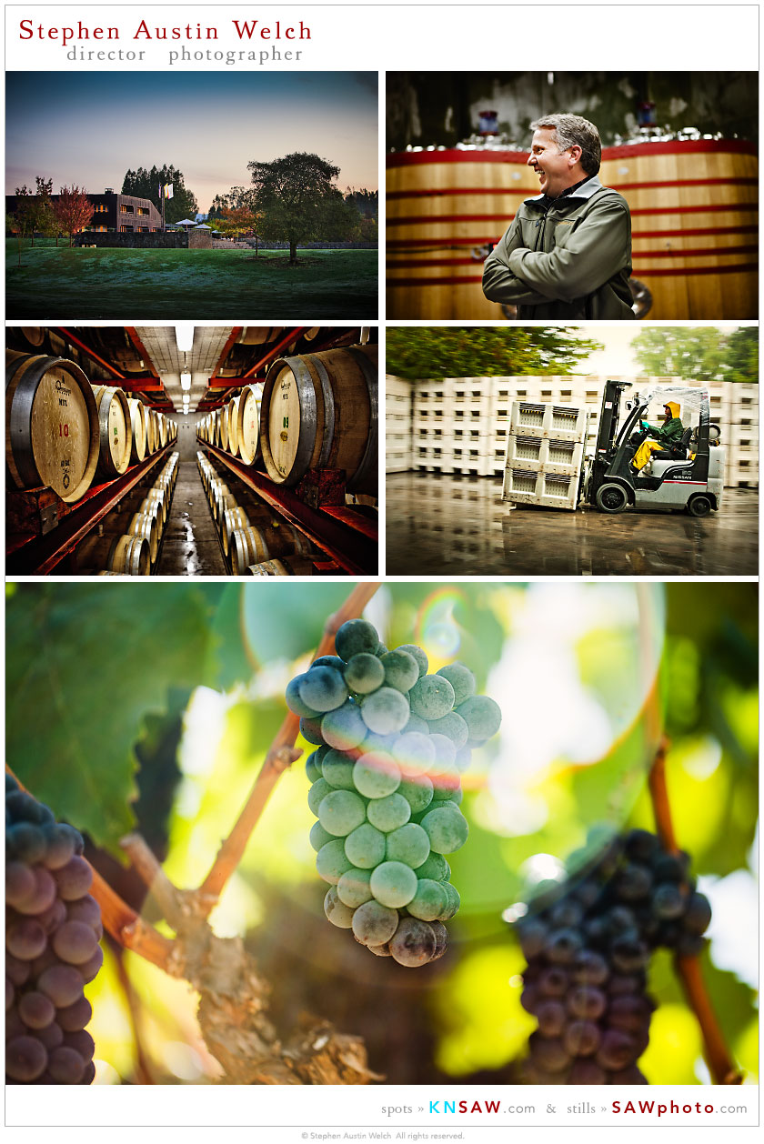 Stephen Austin Welch SAW-ART winery libraries and vineyard portfolios 01
