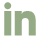 icon linkedin