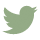 icon twitter