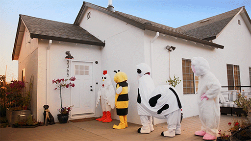 stephen austin welch director photographer sawphoto knsaw playshifu plugo farm animals at door