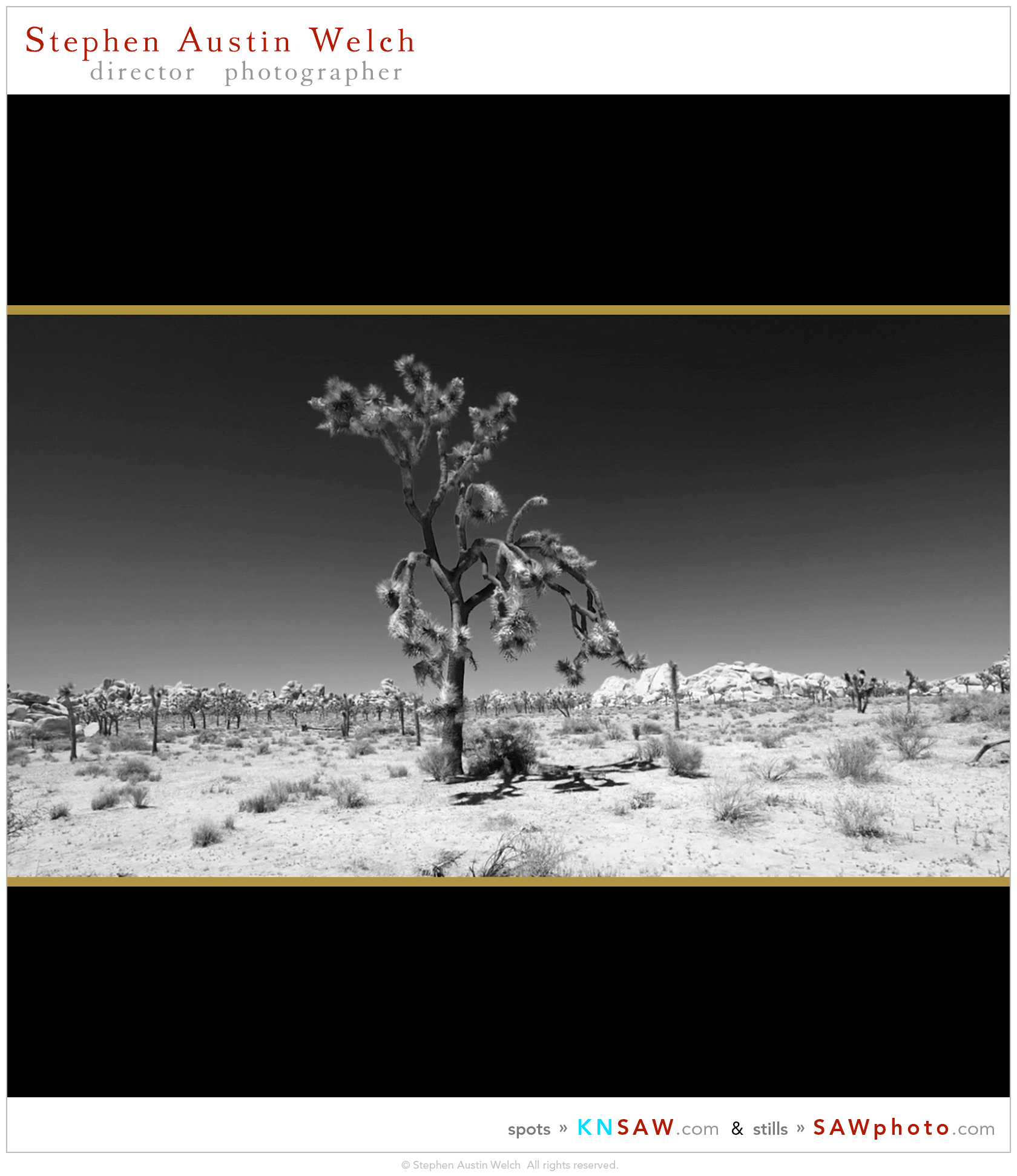 stephen austin welch director photographer sawphoto knsaw saw and jason docter joshua tree u2